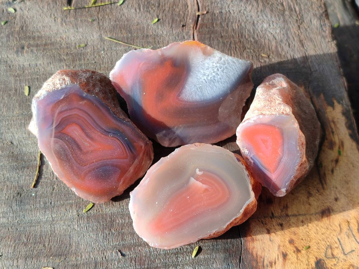 Polished On One Side Red Sashe River Agate Nodules x 12 From Zimbabwe - Toprock Gemstones and Minerals 