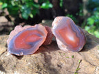 Polished On One Side Red Sashe River Agate Nodules x 12 From Zimbabwe - Toprock Gemstones and Minerals 