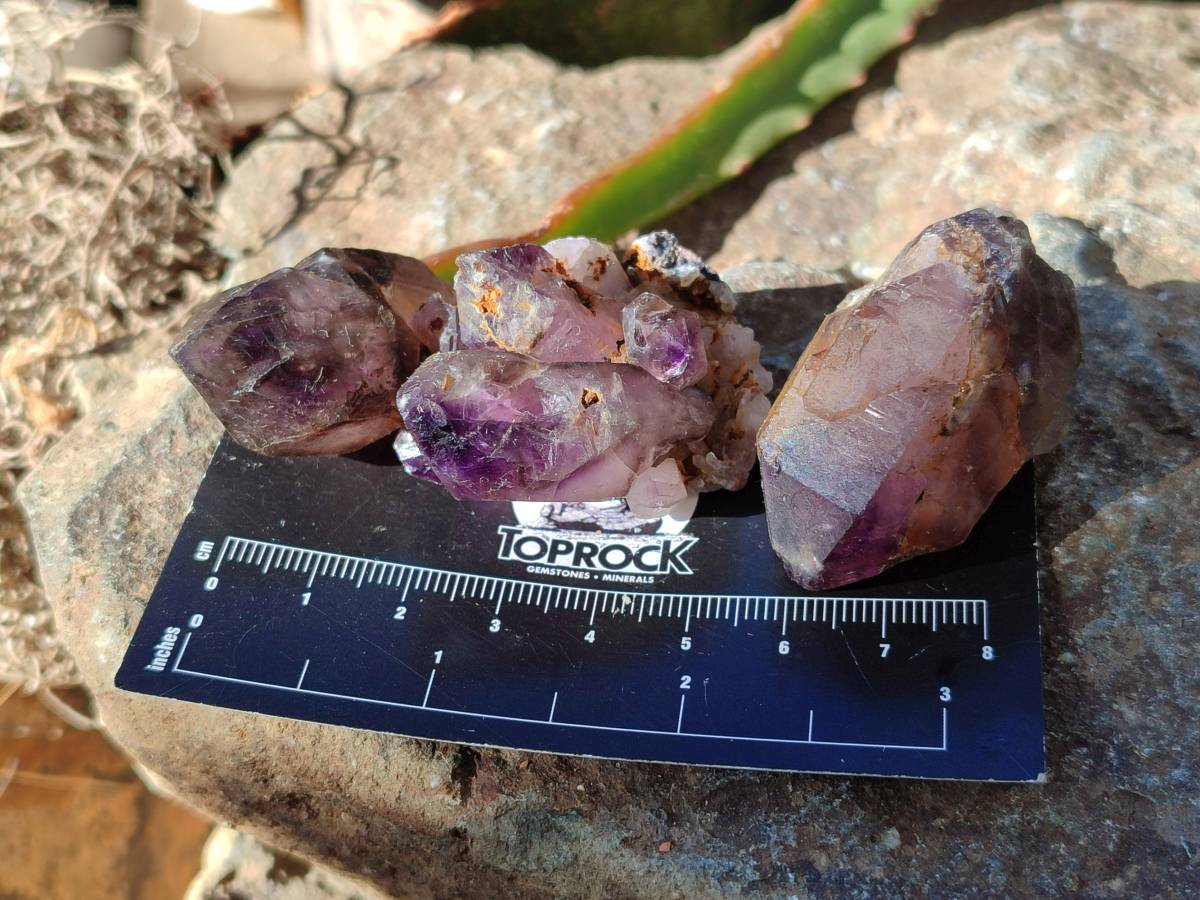 Natural Mixed African Crystals and Clusters x 2.86 Kg Lot From Southern Africa - Toprock Gemstones and Minerals 