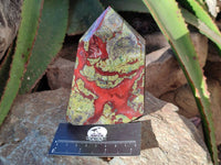 Polished Bastite Dragons Blood Stone Points x 2 From Tshipise, South Africa