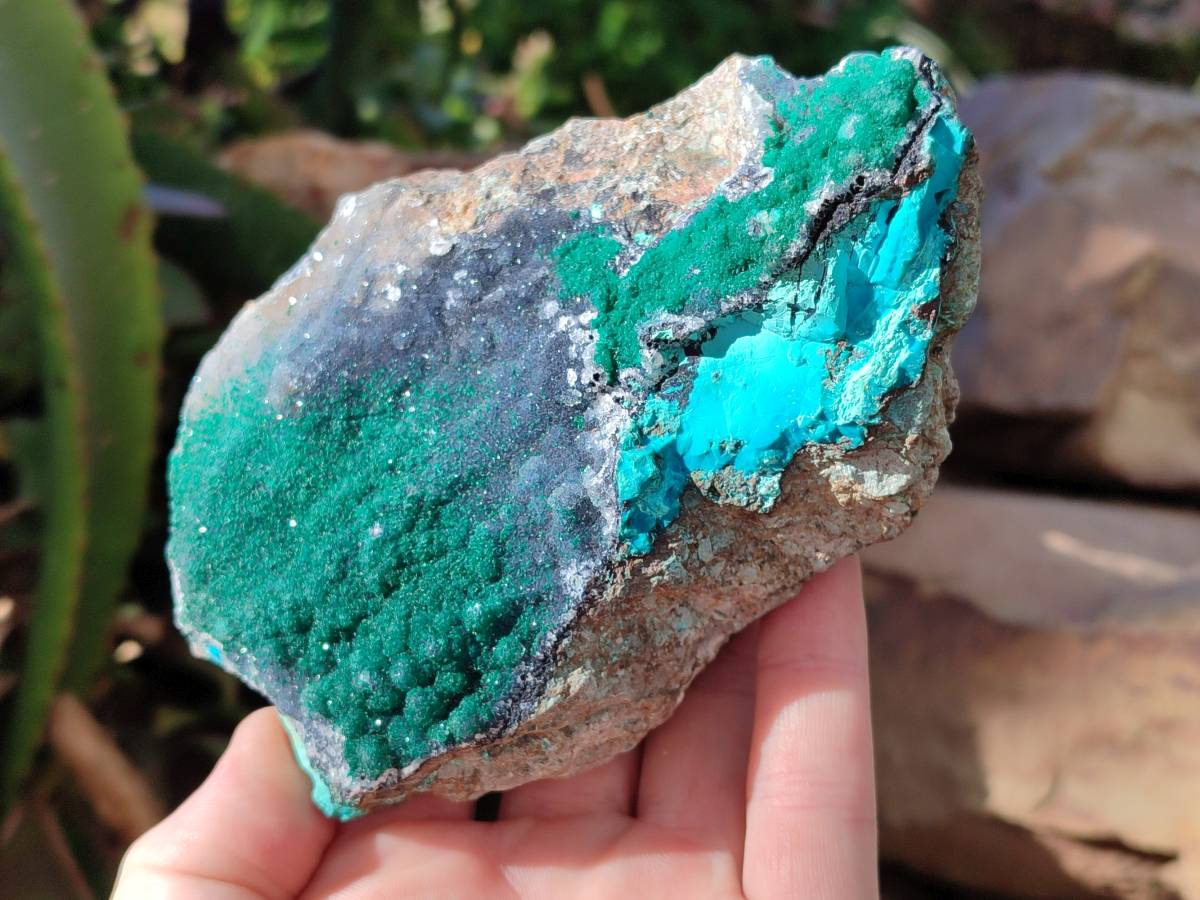 Natural Drusy Coated Malachite with Cobaltion Dolomite and Chrysocolla Specimens x 2 From Congo - Toprock Gemstones and Minerals 