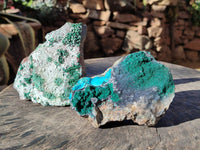 Natural Drusy Coated Malachite with Cobaltion Dolomite and Chrysocolla Specimens x 2 From Congo