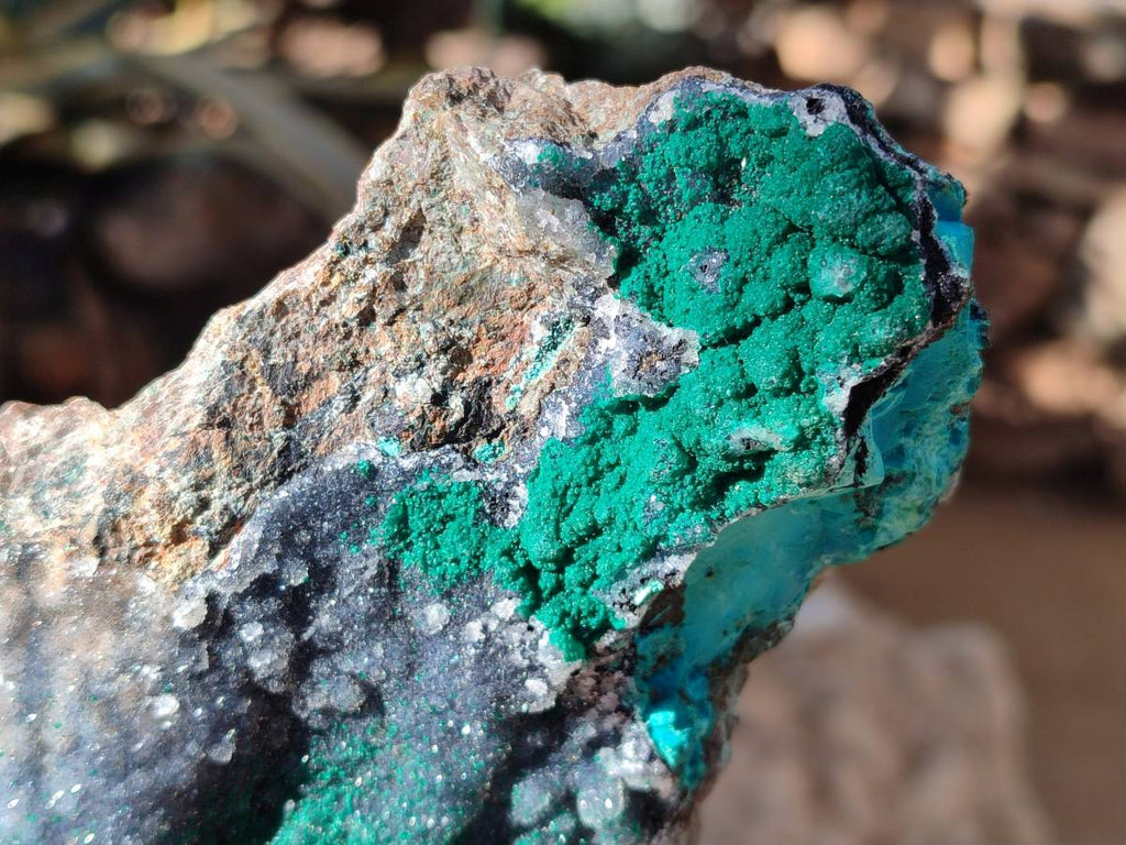 Natural Drusy Coated Malachite with Cobaltion Dolomite and Chrysocolla Specimens x 2 From Congo - Toprock Gemstones and Minerals 