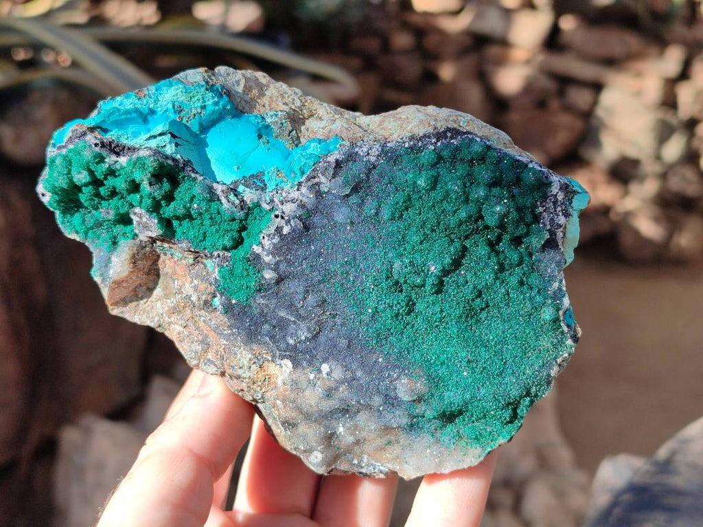 Natural Drusy Coated Malachite with Cobaltion Dolomite and Chrysocolla Specimens x 2 From Congo - Toprock Gemstones and Minerals 