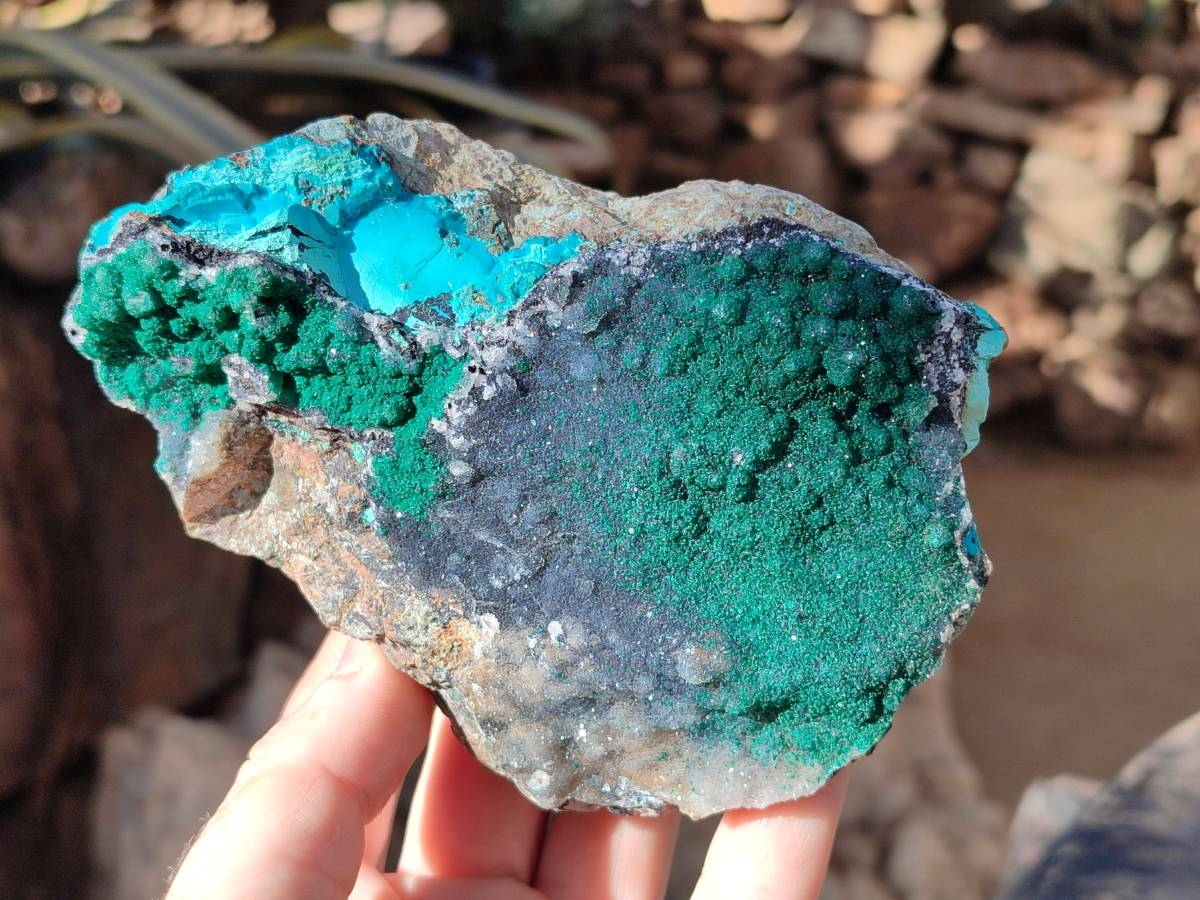 Natural Drusy Coated Malachite with Cobaltion Dolomite and Chrysocolla Specimens x 2 From Congo - Toprock Gemstones and Minerals 