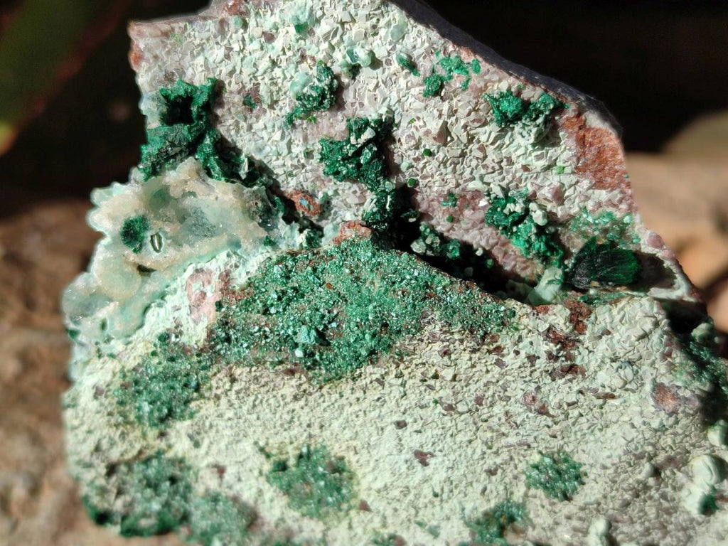 Natural Drusy Coated Malachite with Cobaltion Dolomite and Chrysocolla Specimens x 2 From Congo - Toprock Gemstones and Minerals 