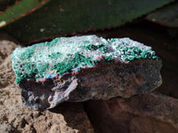 Natural Drusy Coated Malachite with Cobaltion Dolomite and Chrysocolla Specimens x 2 From Congo