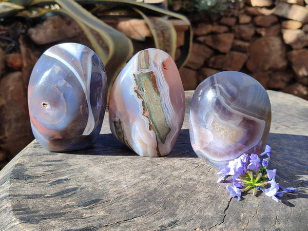 Polished Sashe River Agate Standing Free Forms x 3 From Zimbabwe - Toprock Gemstones and Minerals 