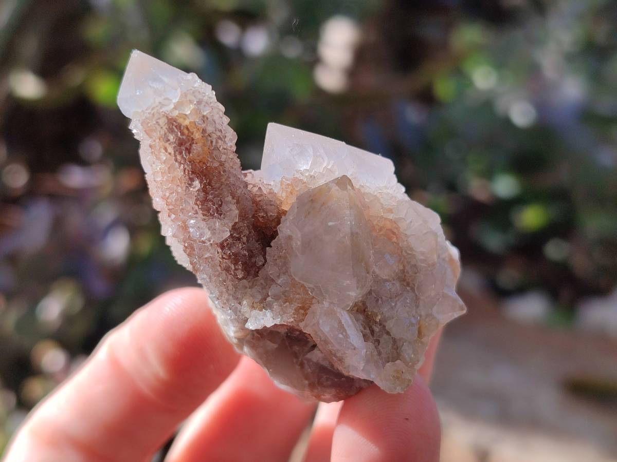Natural Limonite Coated Fairy Spirit Quartz Clusters x 12 From Boekenhouthoek, South Africa - Toprock Gemstones and Minerals 