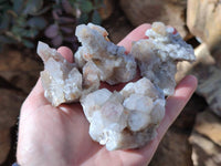 Natural Limonite Coated Fairy Spirit Quartz Clusters x 12 From Boekenhouthoek, South Africa