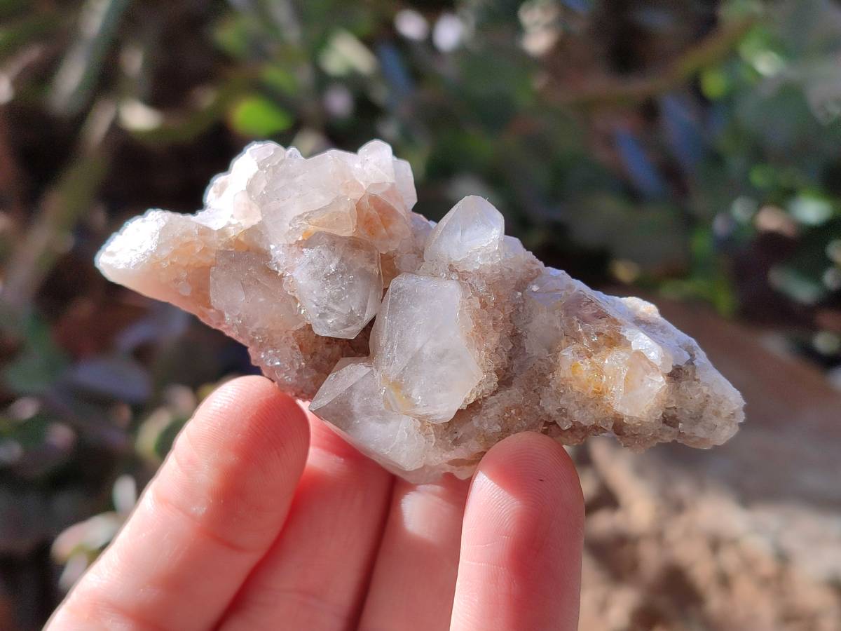 Natural Limonite Coated Fairy Spirit Quartz Clusters x 12 From Boekenhouthoek, South Africa - Toprock Gemstones and Minerals 