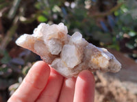Natural Limonite Coated Fairy Spirit Quartz Clusters x 12 From Boekenhouthoek, South Africa