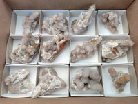 Natural Limonite Coated Fairy Spirit Quartz Clusters x 12 From Boekenhouthoek, South Africa