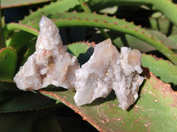 Natural Limonite Coated Fairy Spirit Quartz Clusters x 12 From Boekenhouthoek, South Africa