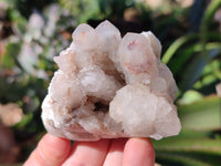 Natural Limonite Coated Fairy Spirit Quartz Clusters x 12 From Boekenhouthoek, South Africa