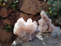 Natural Limonite Coated Fairy Spirit Quartz Clusters x 12 From Boekenhouthoek, South Africa
