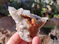 Natural Limonite Coated Fairy Spirit Quartz Clusters x 12 From Boekenhouthoek, South Africa