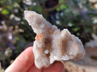 Natural Limonite Coated Fairy Spirit Quartz Clusters x 12 From Boekenhouthoek, South Africa