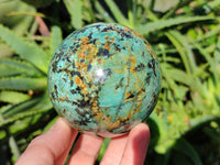 Polished "African Turquoise" Chrysocolla Spheres x 2 From Blue Mine, South Africa