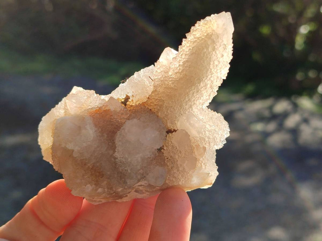Natural White Spirit Quartz Clusters x 12 From Boekenhouthoek, South Africa - Toprock Gemstones and Minerals 