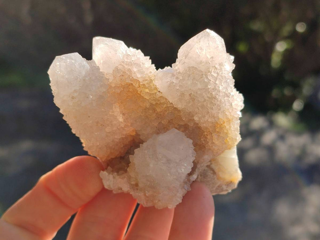 Natural White Spirit Quartz Clusters x 12 From Boekenhouthoek, South Africa - Toprock Gemstones and Minerals 