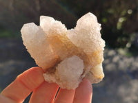 Natural White Spirit Quartz Clusters x 12 From Boekenhouthoek, South Africa