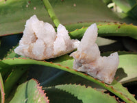 Natural White Spirit Quartz Clusters x 12 From Boekenhouthoek, South Africa