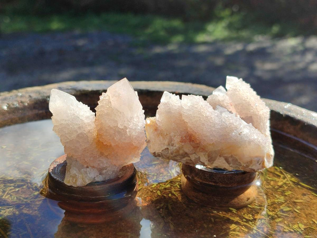 Natural White Spirit Quartz Clusters x 12 From Boekenhouthoek, South Africa - Toprock Gemstones and Minerals 