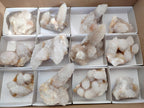 Natural White Spirit Quartz Clusters x 12 From Boekenhouthoek, South Africa - Toprock Gemstones and Minerals 