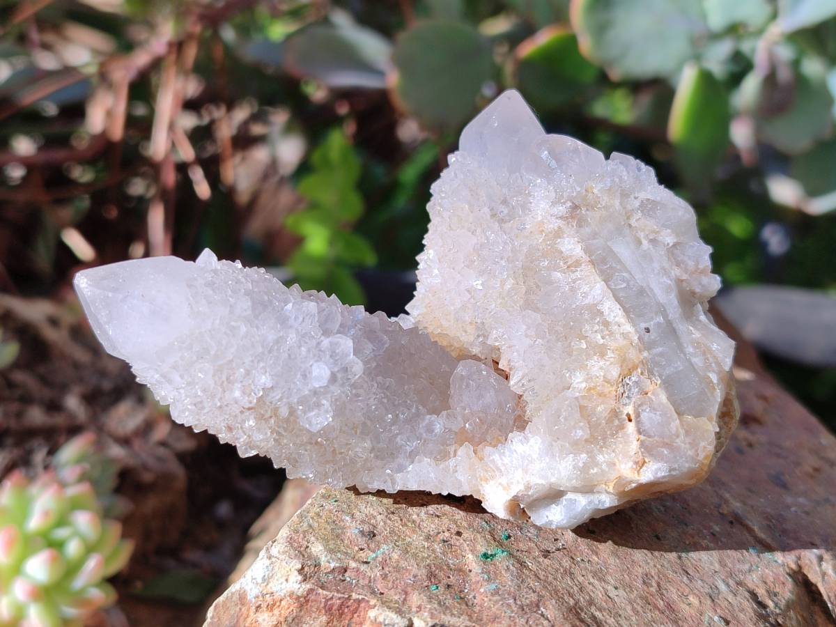 Natural White Spirit Quartz Clusters x 12 From Boekenhouthoek, South Africa - Toprock Gemstones and Minerals 