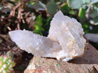 Natural White Spirit Quartz Clusters x 12 From Boekenhouthoek, South Africa