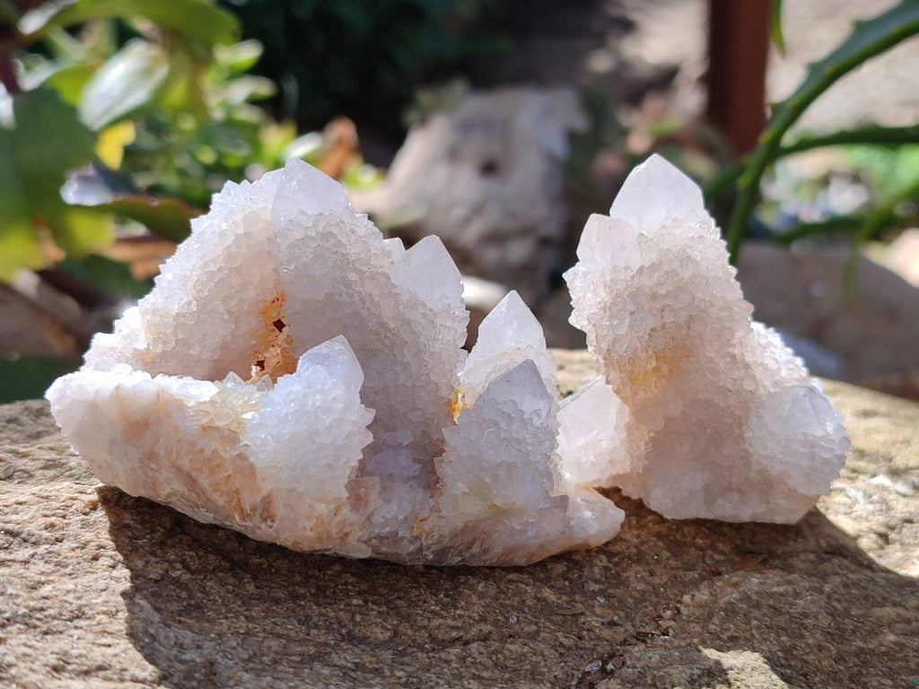Natural White Spirit Quartz Clusters x 12 From Boekenhouthoek, South Africa - Toprock Gemstones and Minerals 