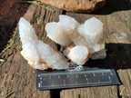 Natural White Spirit Quartz Clusters x 12 From Boekenhouthoek, South Africa - Toprock Gemstones and Minerals 