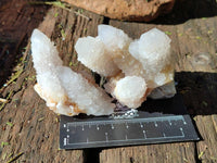 Natural White Spirit Quartz Clusters x 12 From Boekenhouthoek, South Africa