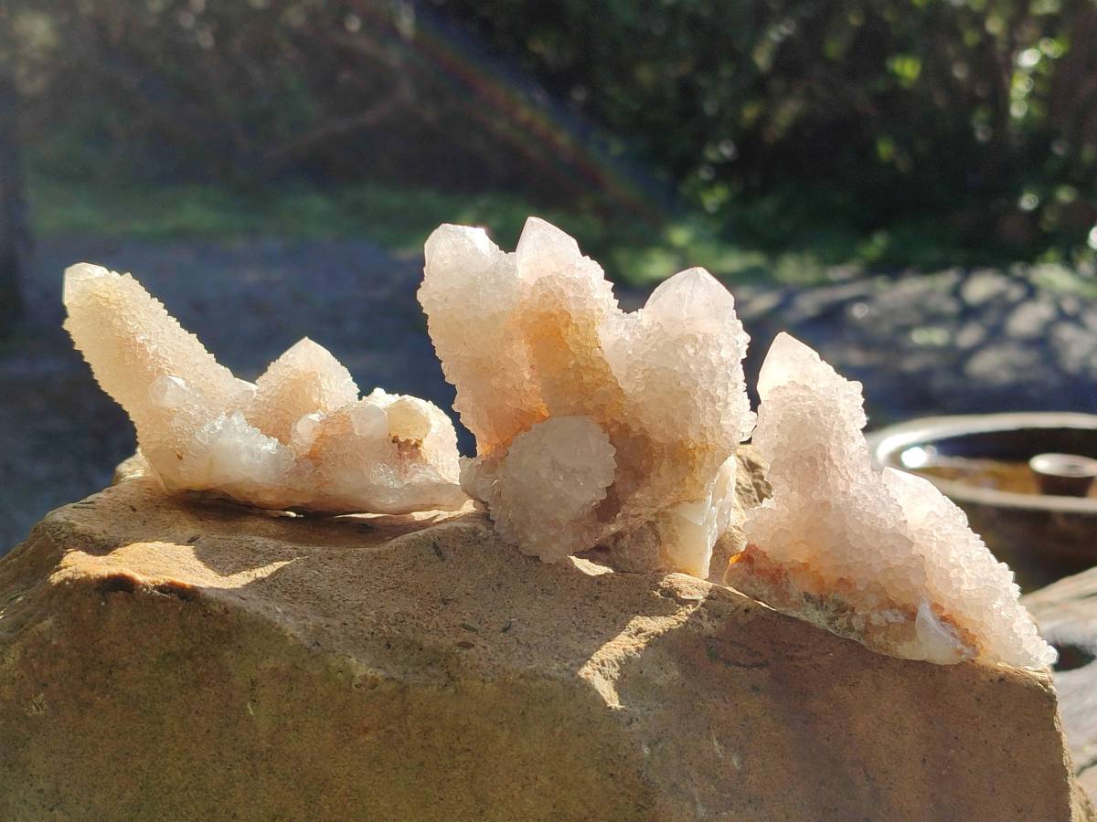 Natural White Spirit Quartz Clusters x 12 From Boekenhouthoek, South Africa - Toprock Gemstones and Minerals 