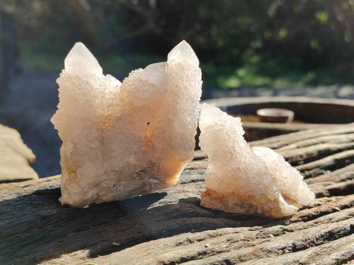 Natural White Spirit Quartz Clusters x 12 From Boekenhouthoek, South Africa - Toprock Gemstones and Minerals 