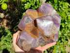 Polished Chevron Amethyst Phantom Crystal Cluster x 1 from Ankazobe, Madagascar - Toprock Gemstones and Minerals 