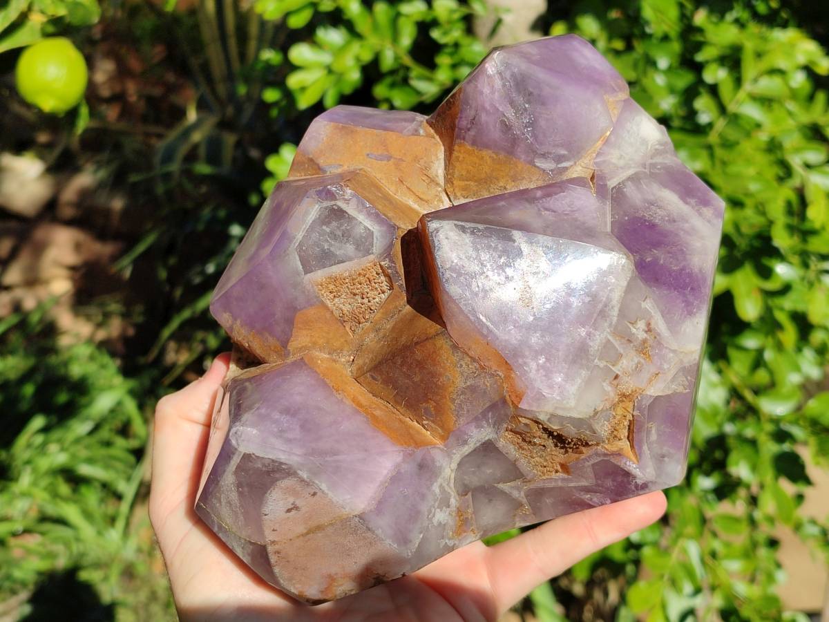 Polished Chevron Amethyst Phantom Crystal Cluster x 1 from Ankazobe, Madagascar - Toprock Gemstones and Minerals 