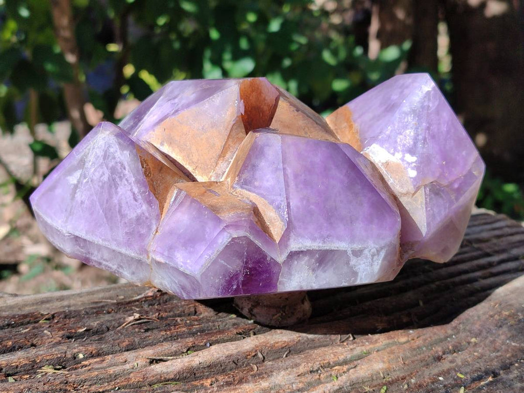 Polished Chevron Amethyst Phantom Crystal Cluster x 1 from Ankazobe, Madagascar - Toprock Gemstones and Minerals 