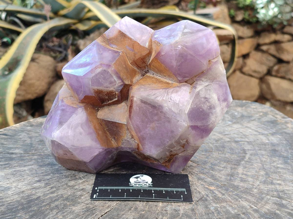 Polished Chevron Amethyst Phantom Crystal Cluster x 1 from Ankazobe, Madagascar - Toprock Gemstones and Minerals 