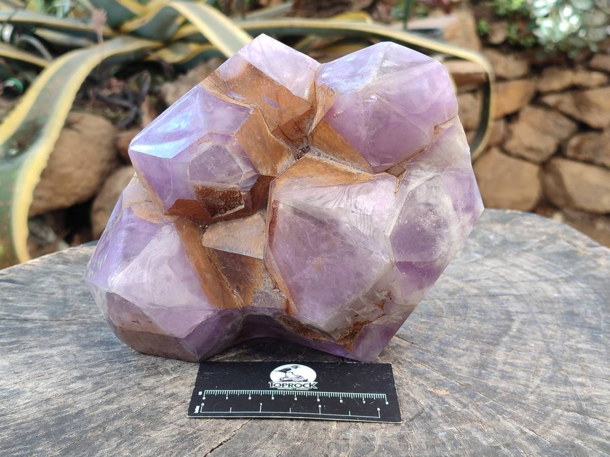 Polished Chevron Amethyst Phantom Crystal Cluster x 1 from Ankazobe, Madagascar - Toprock Gemstones and Minerals 