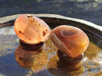 Polished Sashe River Agate Free Forms x 12 From Zimbabwe - Toprock Gemstones and Minerals 