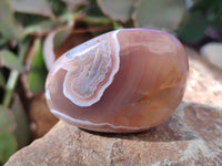 Polished Sashe River Agate Free Forms x 12 From Zimbabwe - Toprock Gemstones and Minerals 