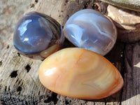 Polished Sashe River Agate Free Forms x 12 From Zimbabwe - Toprock Gemstones and Minerals 