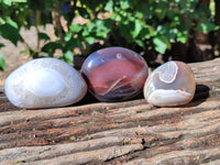 Polished Sashe River Agate Free Forms x 12 From Zimbabwe - Toprock Gemstones and Minerals 