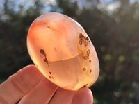 Polished Sashe River Agate Free Forms x 12 From Zimbabwe - Toprock Gemstones and Minerals 