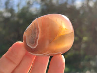 Polished Sashe River Agate Free Forms x 12 From Zimbabwe - Toprock Gemstones and Minerals 