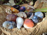 Polished Sashe River Agate Free Forms x 12 From Zimbabwe - Toprock Gemstones and Minerals 