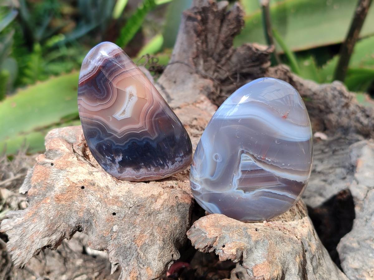 Polished Sashe River Agate Free Forms x 12 From Zimbabwe - Toprock Gemstones and Minerals 