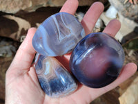 Polished Sashe River Agate Free Forms x 12 From Zimbabwe - Toprock Gemstones and Minerals 